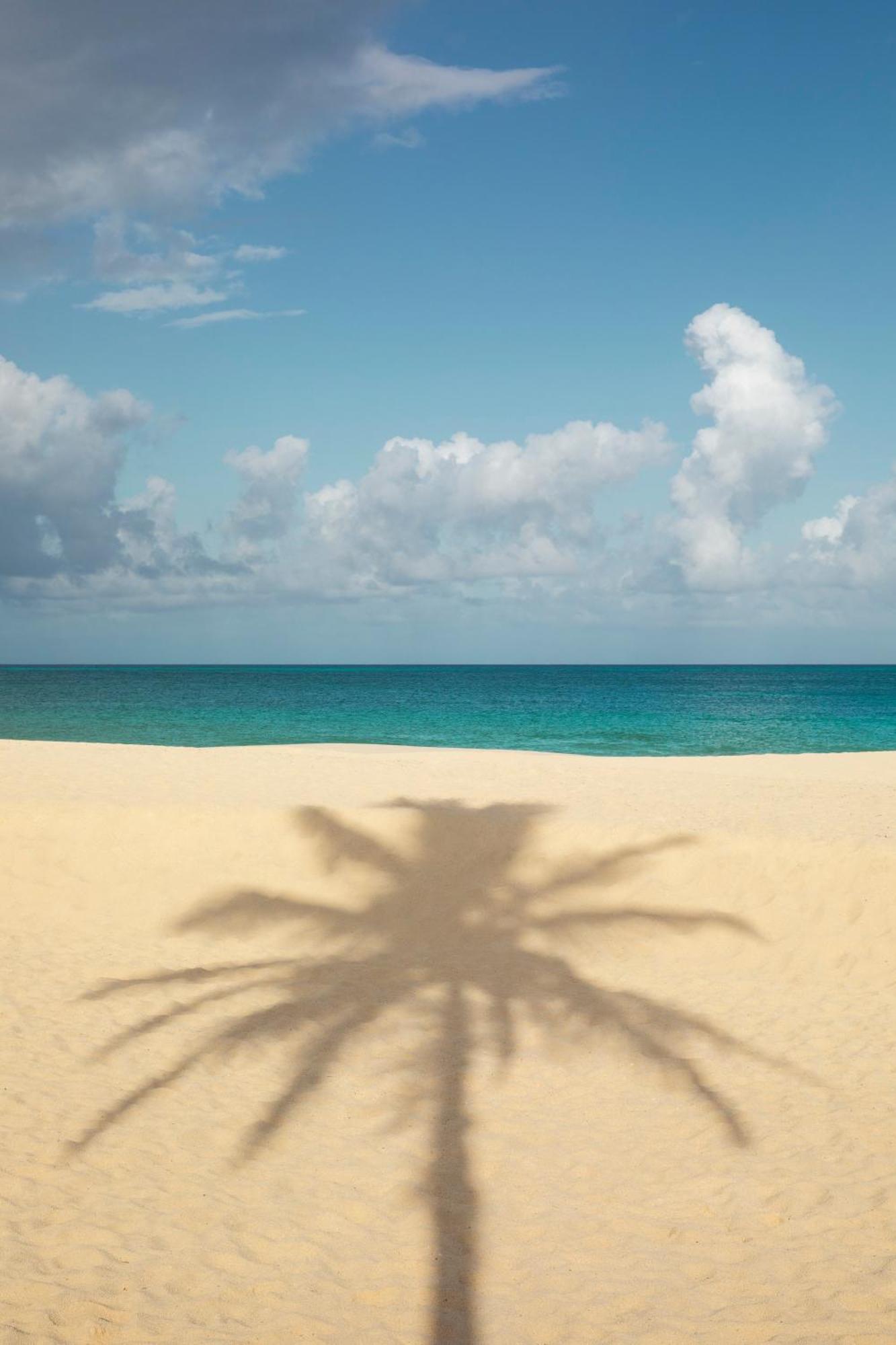 Joia Aruba By Iberostar Hotel Palm Beach Exterior photo